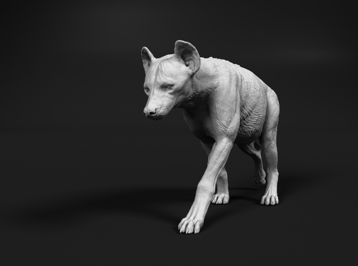Spotted Hyena 1:6 Walking Female 1 3d printed