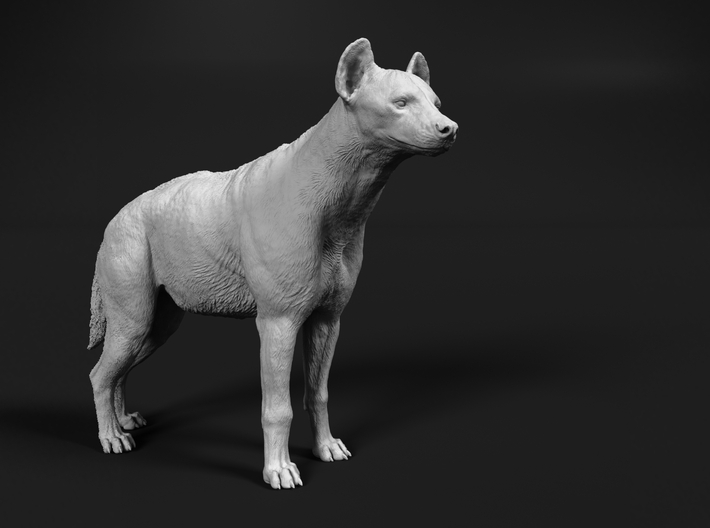 Spotted Hyena 1:9 Standing Male 3d printed 