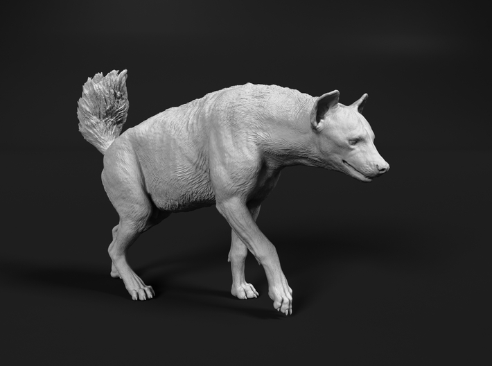 Spotted Hyena 1:48 Walking Female 2 3d printed