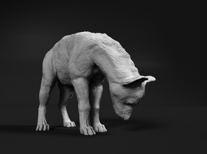Spotted Hyena 1:22 Cub looking down 3d printed 
