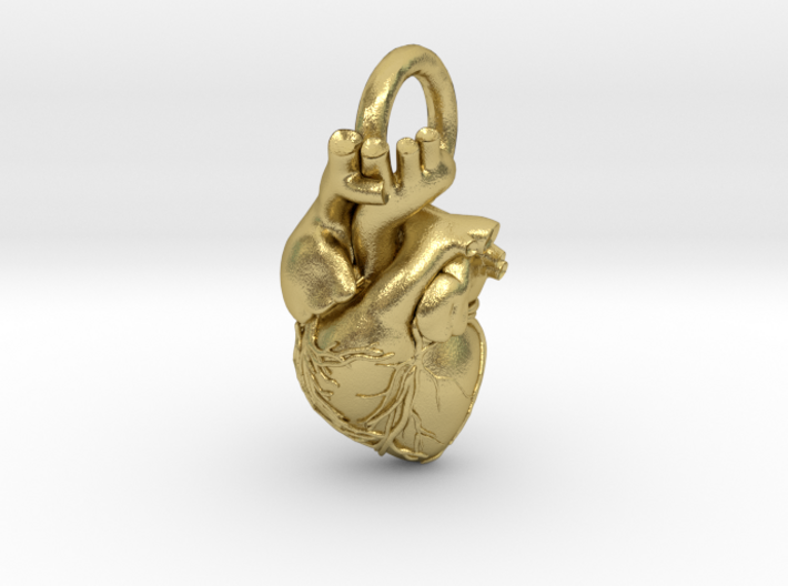Anatomical Heart Necklace 3d printed