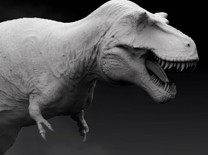 Tyrannosaurus rex 1/100 3d printed