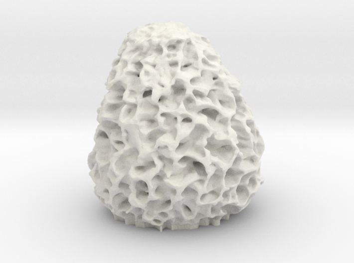 Morel Mushroom Medium 3d printed 