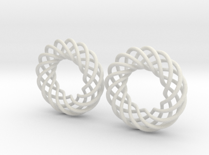 Spiral Torus Earrings 3d printed 