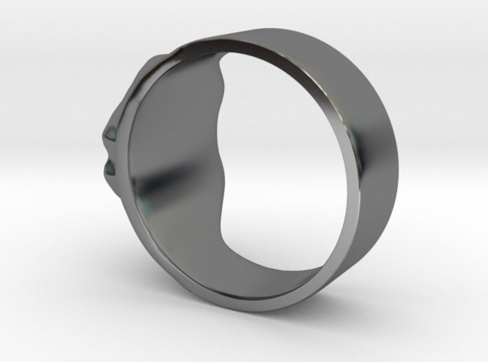 eisberger - the ring  3d printed 