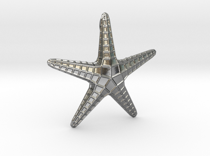 Starfish Pendant 3d printed 