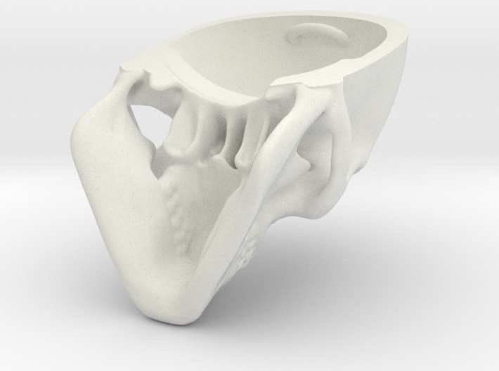 Human Skull with Ring 3.9 cm 3d printed 