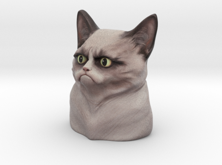 Grumpy Cat Bust 3d printed 