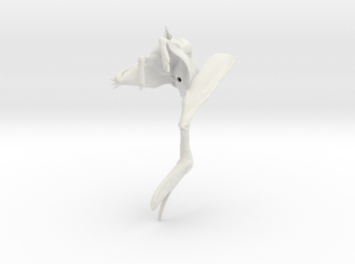 Pterodaustro (1:4 scale model) 3d printed 