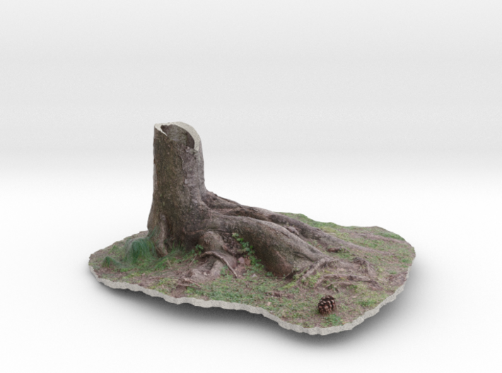 Tree Trunk (3.25" x 1.5") 3d printed 