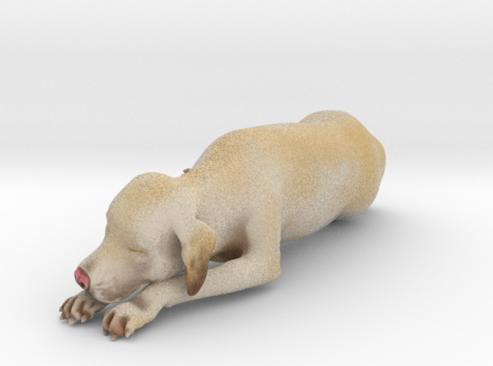 Sleeping Dog - Labrador Small 3d printed 