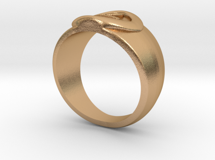 4 Elements - Earth Ring 3d printed 