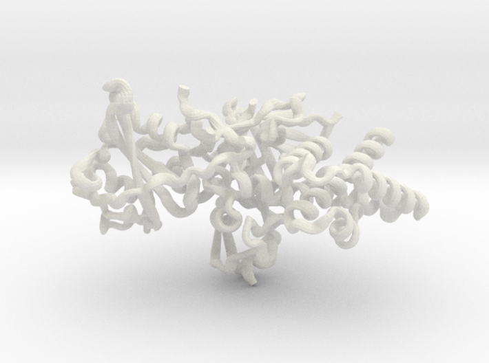 TYK2 with IFNAR1 peptide (pdb id 4P06) 3d printed 