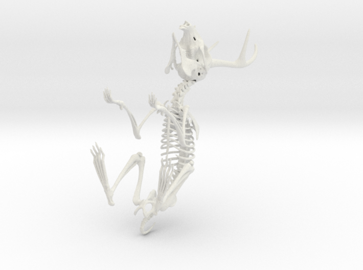 Jackalope Skeleton 3d printed 