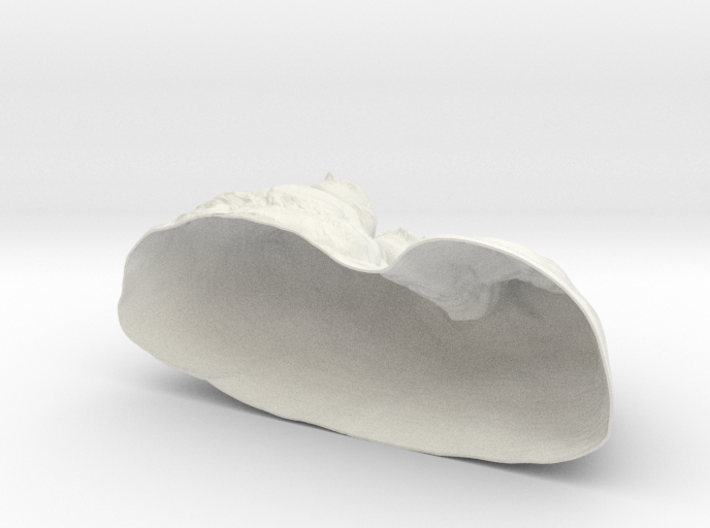 Mount Rushmore 3D Print 3d printed 