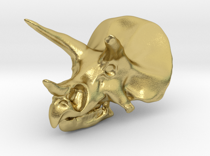 Triceratops Skull - Pendant/Key Fob 3d printed