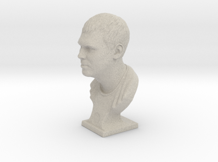 Male Bust (Dmitry) 3d printed 