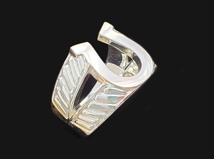Horseshoe Ring, US size 10 3d printed Polished Silver