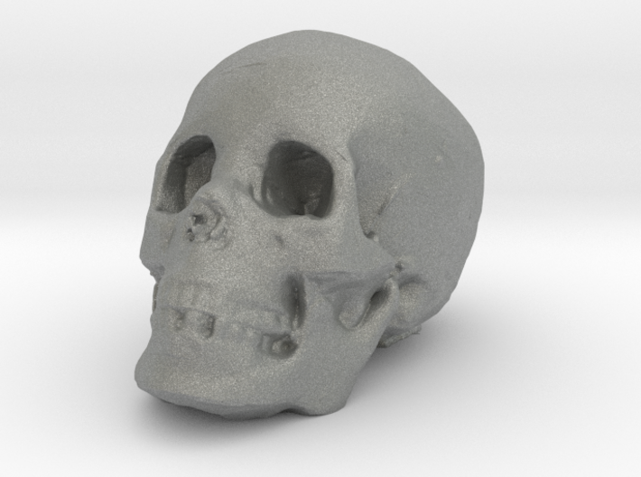 skull 3d printed