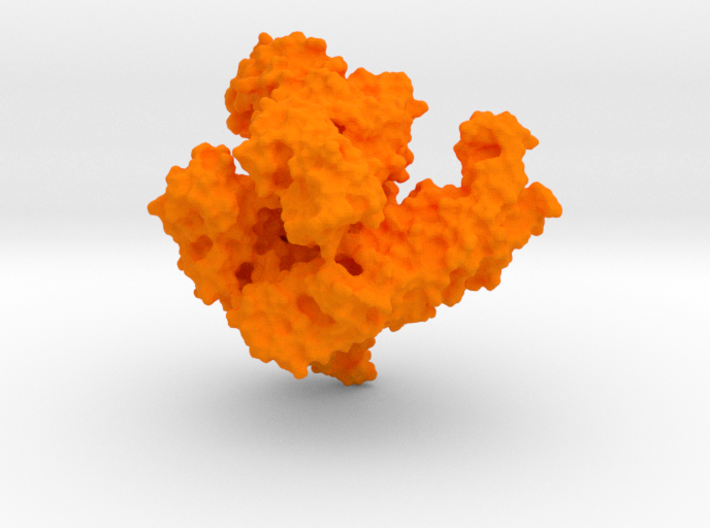 SARS-CoV-2 Papain-like protease orf1ab [6W9C] 3d printed