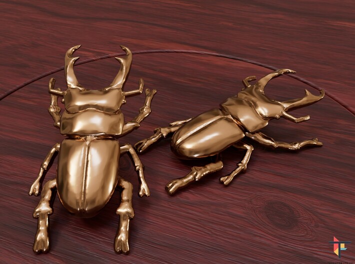 Smokey Beetle Earrings 3d printed 