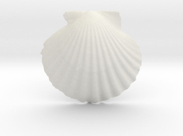 Scallop-reflection-x1.3 3d printed