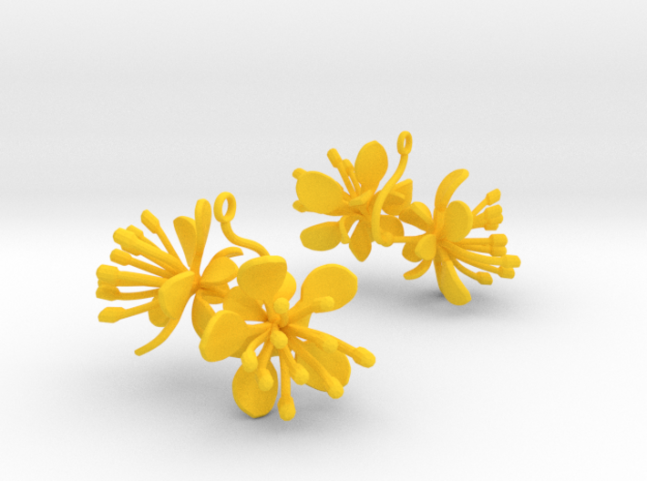 Earrings with two large flowers of the Raspberry 3d printed