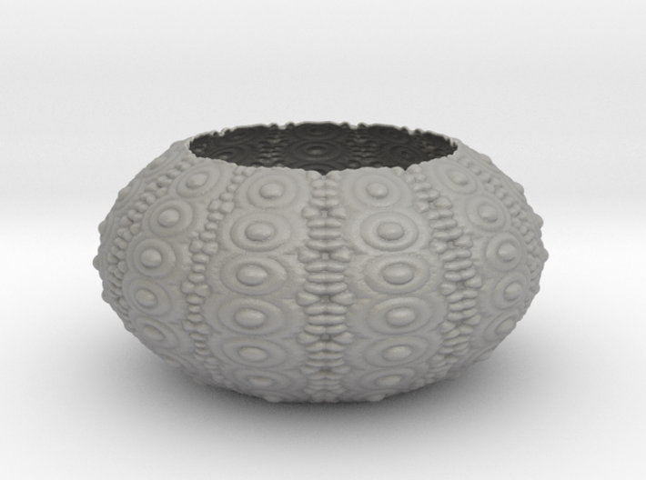Sea Urchin Bowl 3d printed