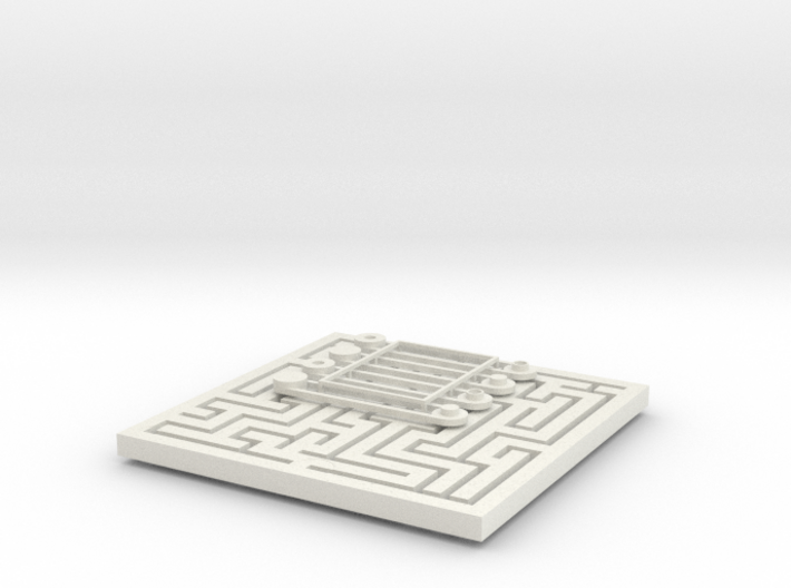 Tandem Maze Too 3d printed 