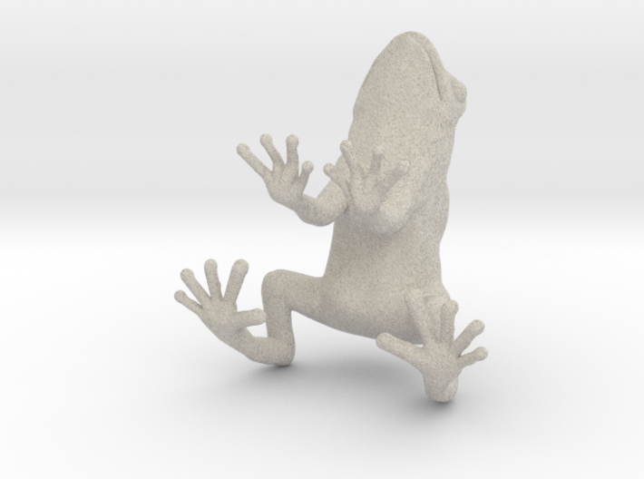 frog 2cm 3d printed