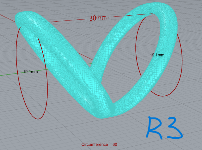 R3_length_30mm_circumference60mm D19.1mm 3d printed 
