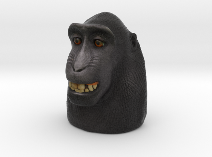Monkey selfie 3d printed 