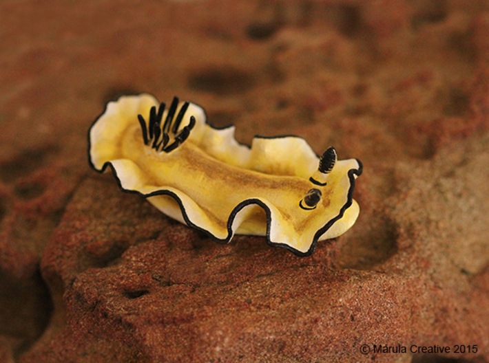 Becia the Nudibranch 3d printed Hand Painted White Strong & Flexible Polished