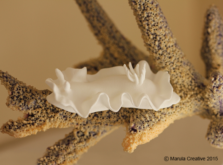 Becia the Nudibranch 3d printed White Strong & Flexible Polished