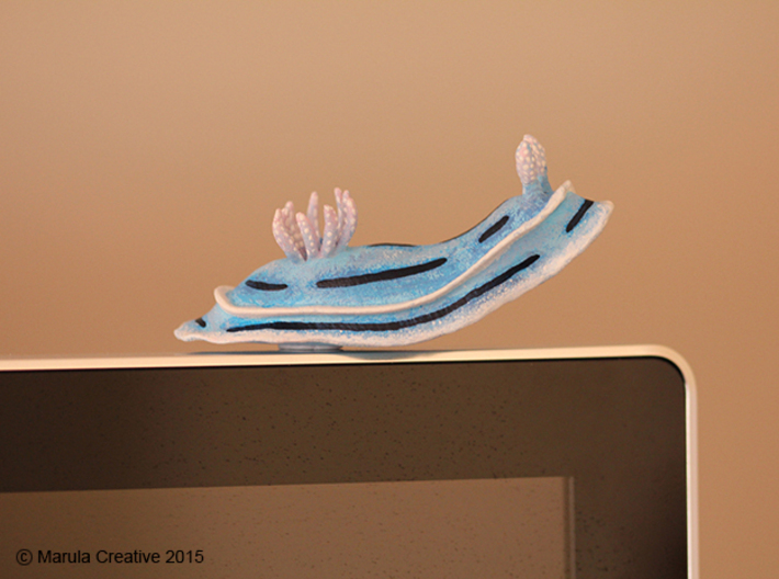 Lani the Nudibranch 3d printed Hand Painted White Strong & Flexible Polished - on computer monitor! 