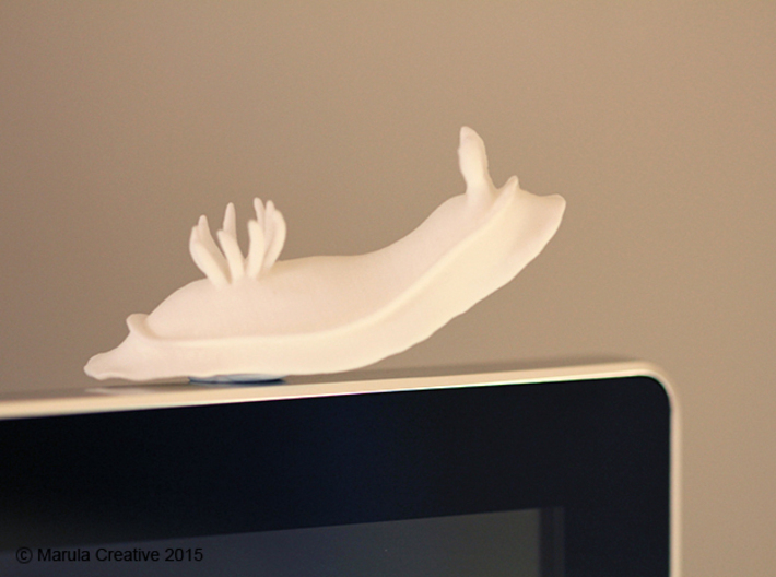 Lani the Nudibranch 3d printed White Strong & Flexible Polished - on computer monitor! 