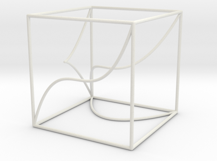 Space Curve in Cube Exhibit Size 3d printed