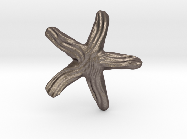 Groovy Twisty Starfish Earring 3d printed