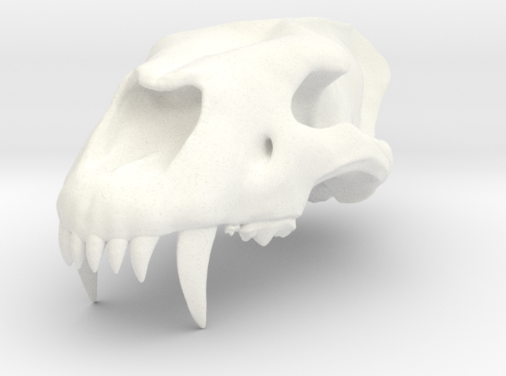 Homotherium skull, maxilla 3d printed