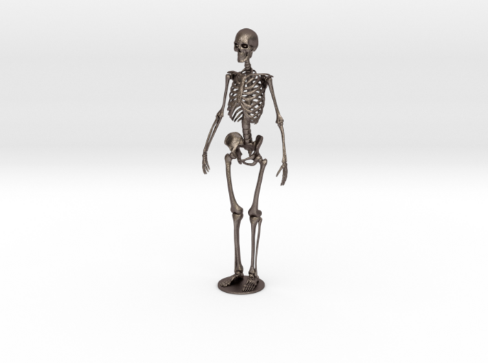 Skeleton new 3d printed
