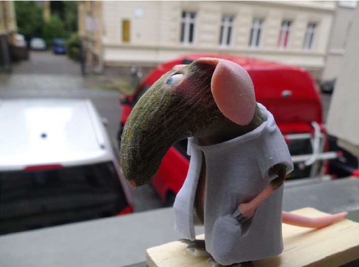 Dr. Prof. Raisin the rat 3d printed a photo of the animal