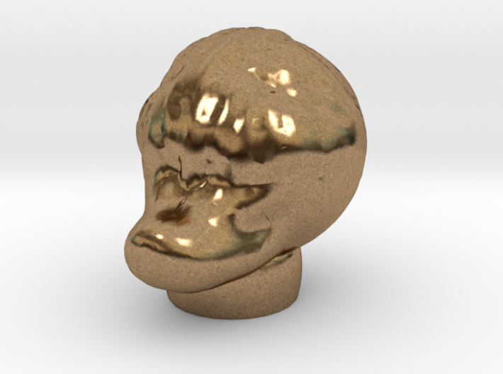 Sculptris Lizard Duck Creature head 3d printed