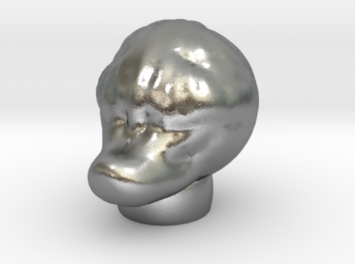 Sculptris Lizard Duck Creature head 3d printed