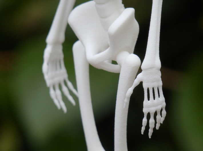 Free Standing Skeleton Figure 3d printed 