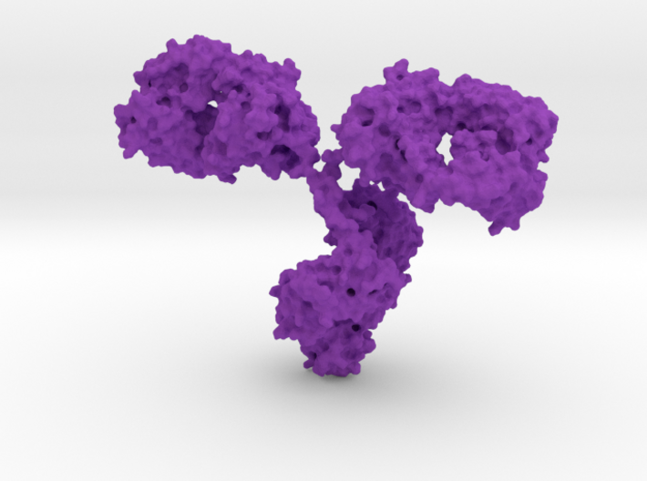 Antibody - IgG - Small 3d printed
