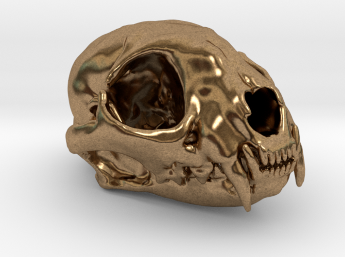 Cat skull - 45 mm 3d printed 