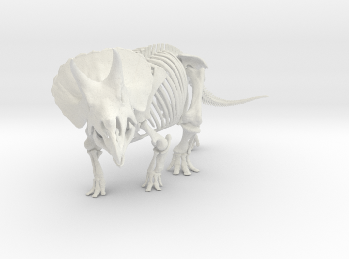 Triceratops horridus skeleton 1:48 scale 3d printed