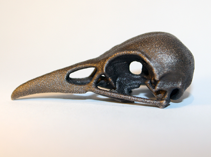 Bird Skull - Micro 3d printed 