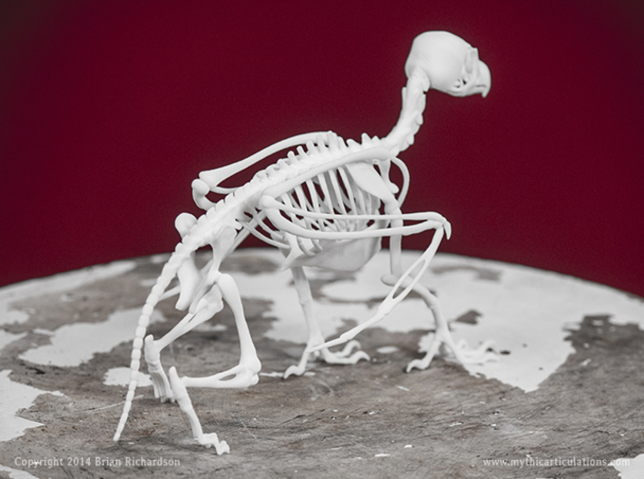 Griffin Skeleton 3d printed 