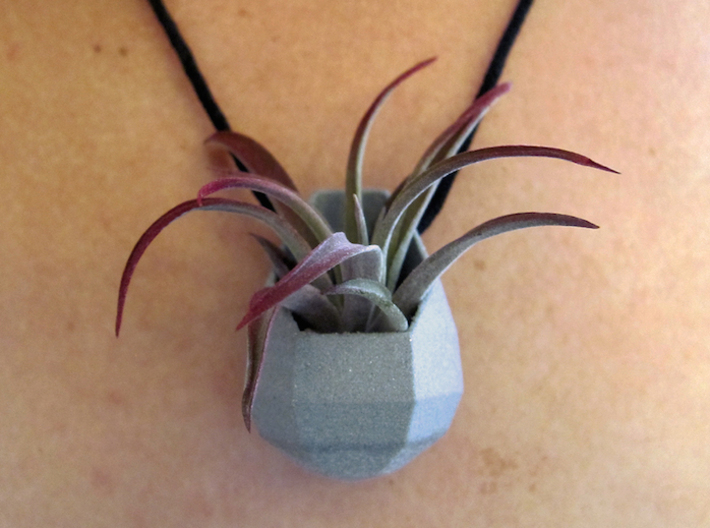 Low-Poly Planter Necklace Pendant 3d printed